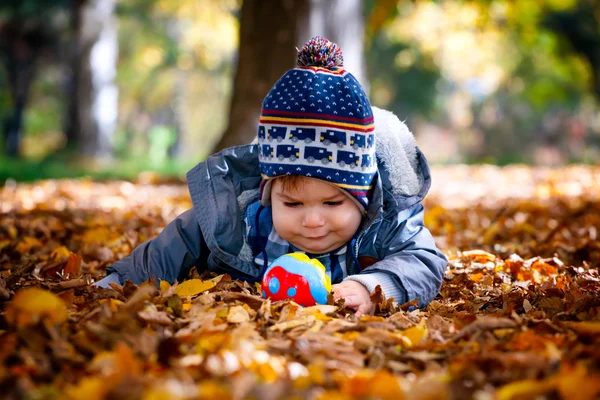 8 meses de idade menino no outono — Fotografia de Stock