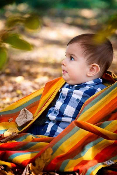 8 hónapos fiú őszi — Stock Fotó