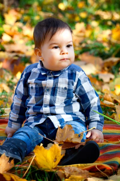 8 meses de idade menino no outono — Fotografia de Stock