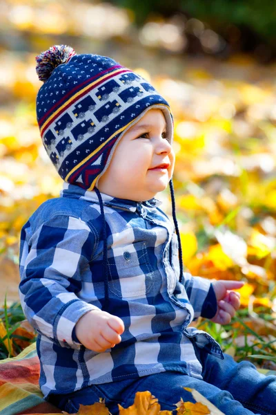 8 months old boy in the fall — Stock Photo, Image