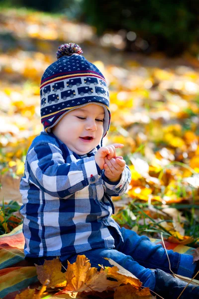 8 ay yaşlı çocuk sonbaharda