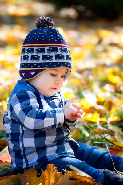 8 ay yaşlı çocuk sonbaharda