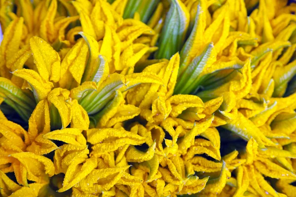 Flores de abobrinha no balcão — Fotografia de Stock