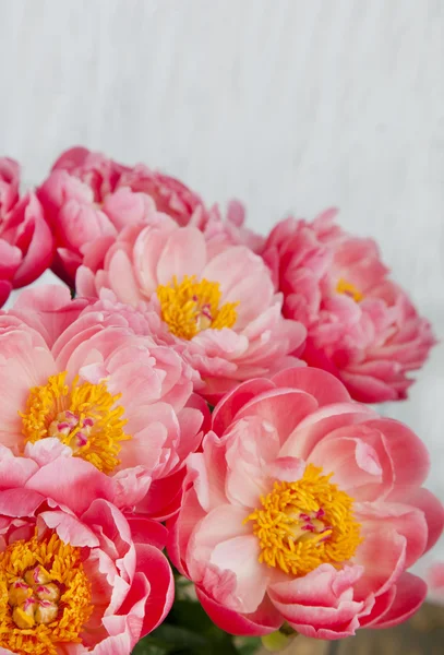 Bir buket pembe şakayık.