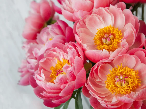 분홍 고추 꽃다발 — 스톡 사진