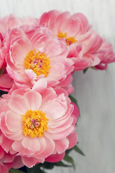 Bouquet of pink peonies — Stock Photo, Image