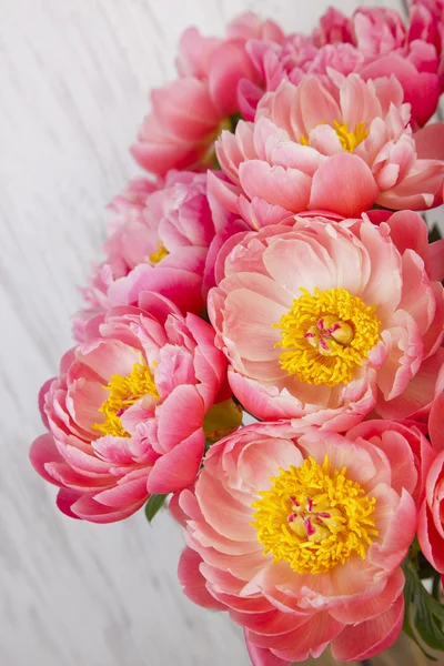 Bouquet of pink peonies — Stock Photo, Image