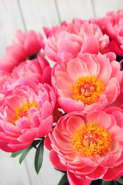 Bouquet of pink peonies — Stock Photo, Image