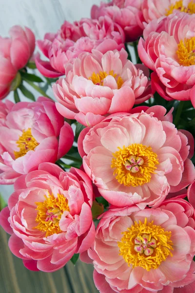 분홍 고추 꽃다발 — 스톡 사진