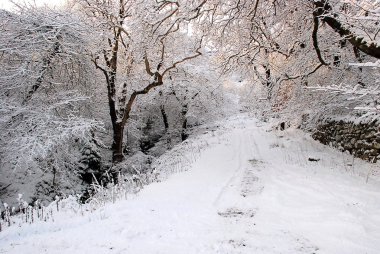 Kış karla kaplı yol 