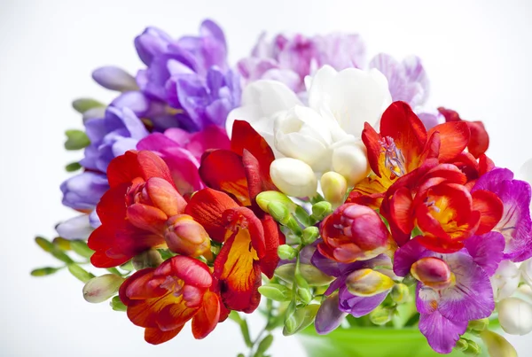 Beautiful bouquet of colorful freesia — Stock Photo, Image