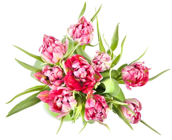 Großer schöner Strauß roter Tulpen — Stockfoto