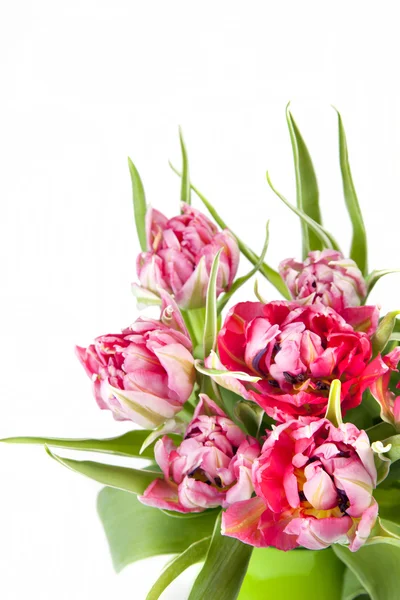 Big beautiful bouquet of red tulips — Stock Photo, Image