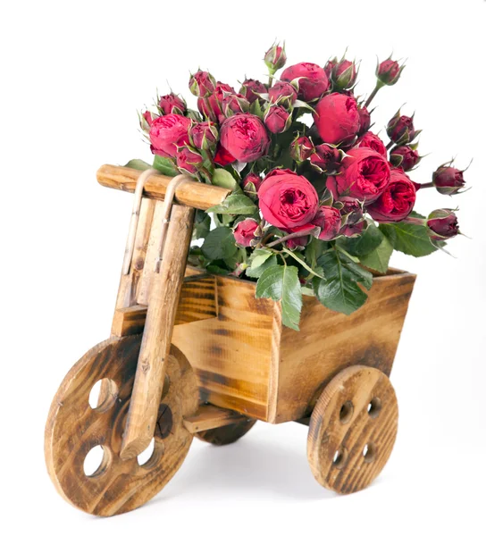Gyönyörű csokor Rózsa, bazsarózsa — Stock Fotó