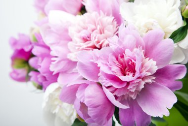 Pembe ve beyaz peonies güzel buket
