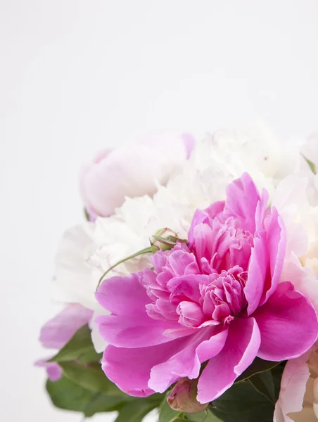 Belo buquê de peônias rosa e branca — Fotografia de Stock