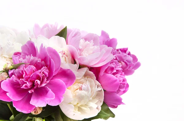 Beautiful bouquet of pink and white peonies — Stock Photo, Image