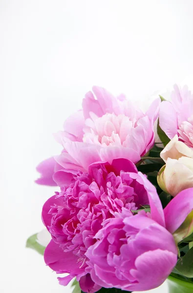 Hermoso ramo de peonías rosadas y blancas — Foto de Stock