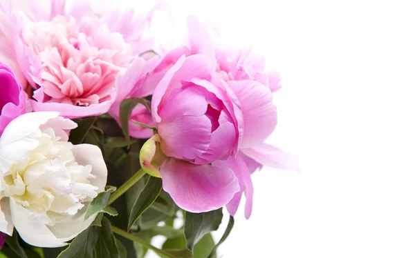 Beautiful bouquet of pink and white peonies — Stock Photo, Image