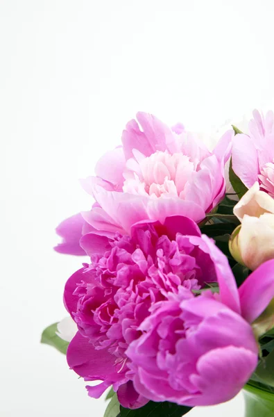 Beautiful bouquet of pink and white peonies — Stock Photo, Image