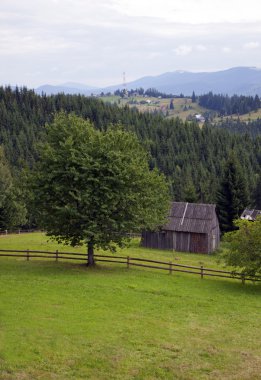 Karpat Dağları 'ndaki manzara