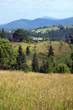 Karpat Dağları 'ndaki manzara