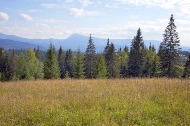 Karpat Dağları 'ndaki manzara