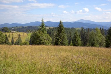 Karpat Dağları 'ndaki manzara