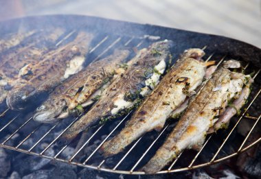 Fried Barbekü Izgara Alabalık