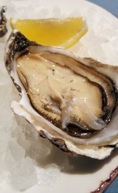 Buz üzerinde büyük açık istiridye