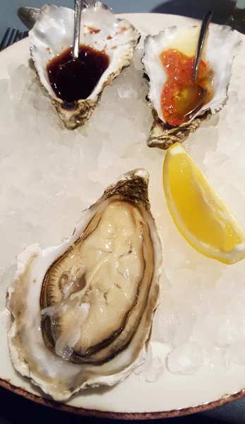 Large open oysters on ice — Stock Photo, Image