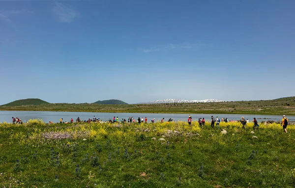 Touristen Auf Einer Wanderung Nordisrael — Stockfoto