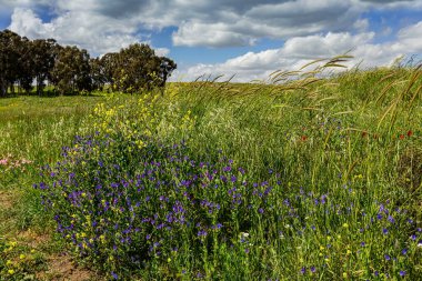 Şelalenin yanındaki Gamla Parkı