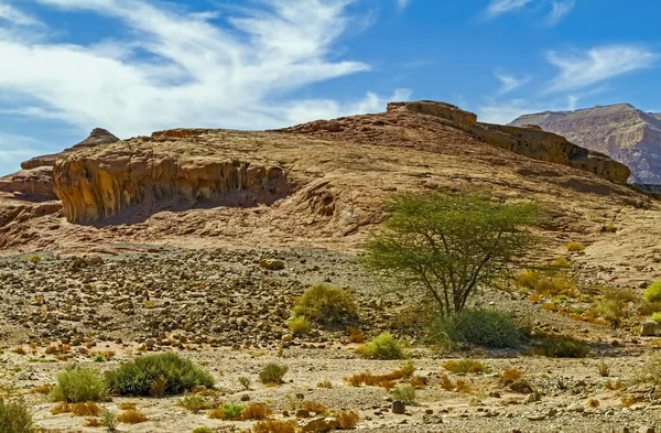 Timna ulusal jeolojik park, İsrail. — Stok fotoğraf