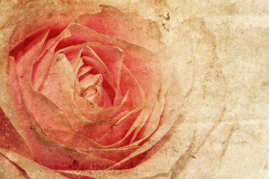 Gül çiçek açan ile tebrik kartı