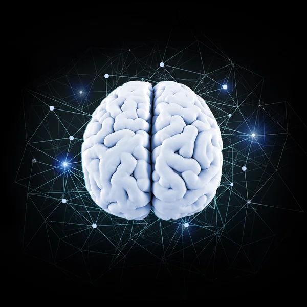 Beyin kavramsal model — Stok fotoğraf