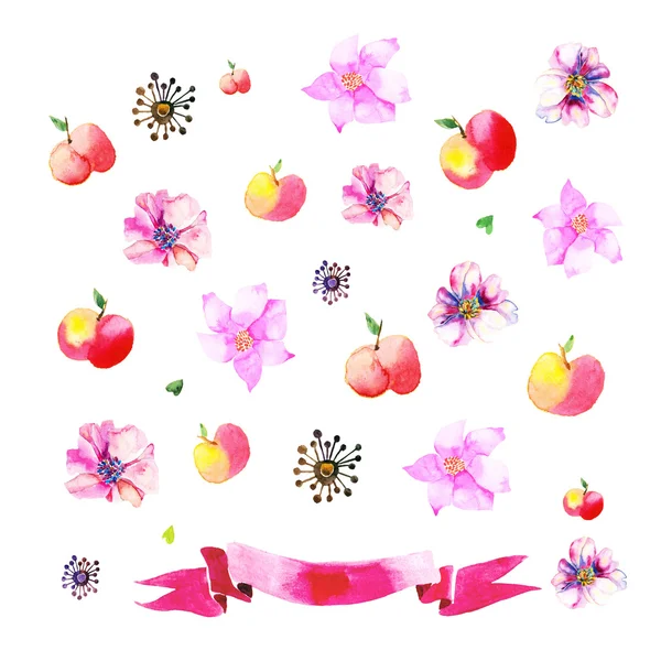 Ornaments with painted apples, flowers — Stock Vector