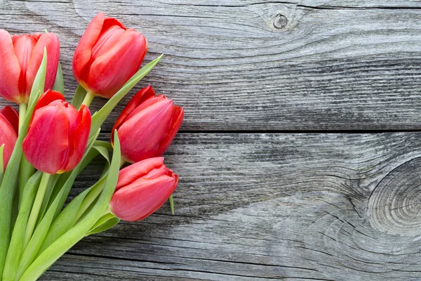 Red tulips on a wooden background. — Stock Photo, Image