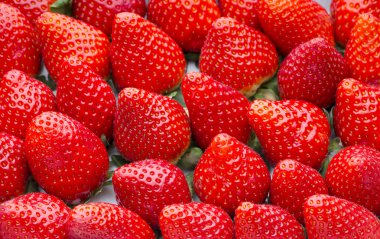 Bir kutu çilek, hasat koleksiyonu..