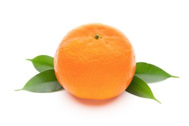 Turuncu izole beyaz zemin üzerine.