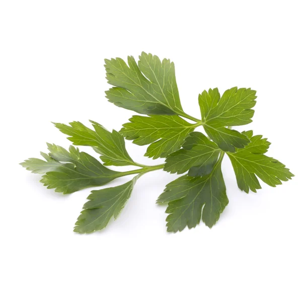 Parsley on the white background. — Stock Photo, Image