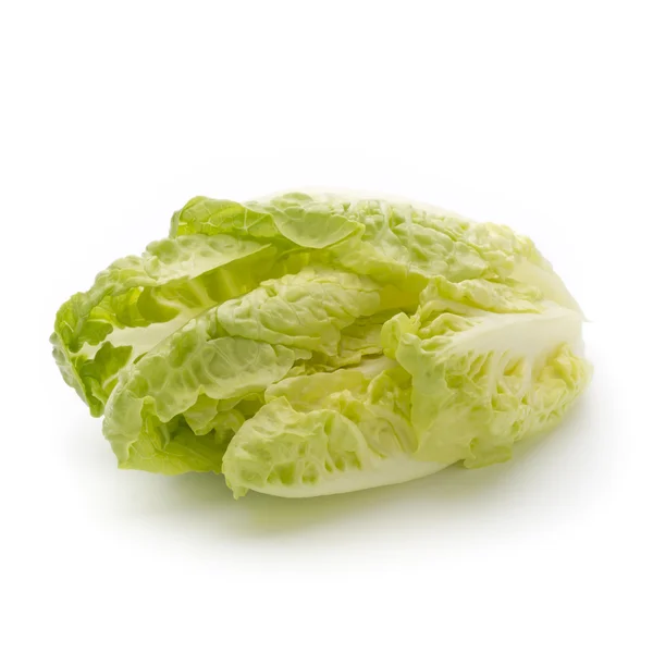 Salad n the isolated white background. — Stock Photo, Image