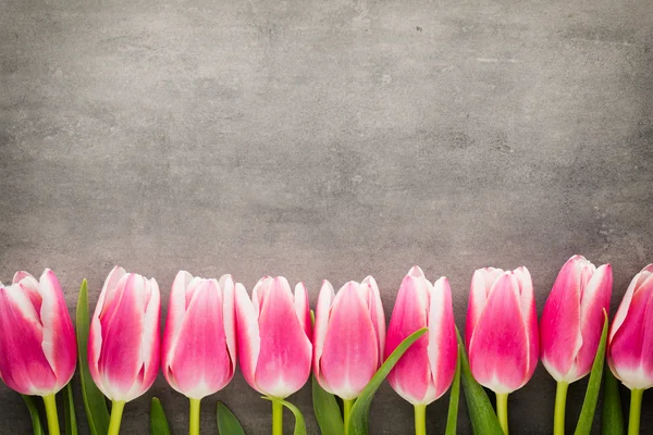 Tulipany na szarym tle. — Zdjęcie stockowe