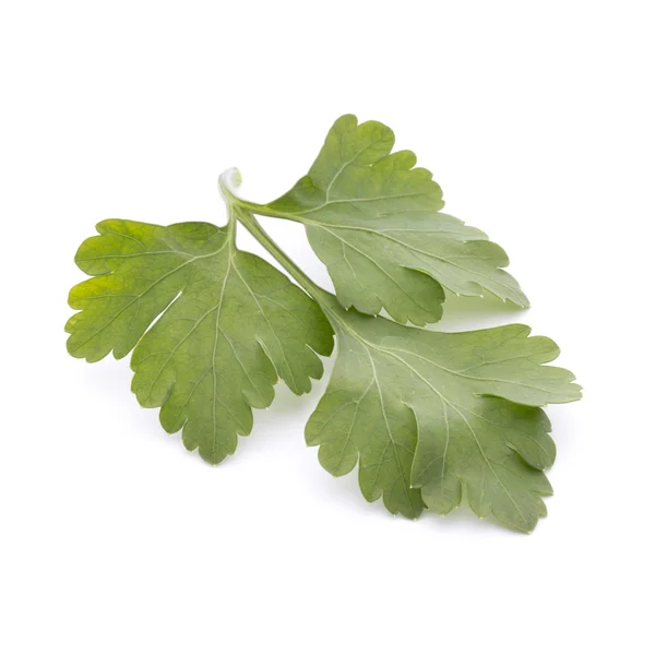 Parsley on the white background. — Stock Photo, Image