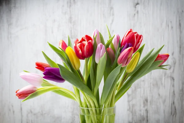 Tulips on the grey background. — Stock Photo, Image