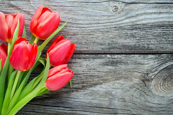 Red Tulips Wooden Background — Stock Photo, Image