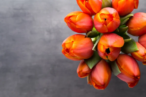 Tulips, orange on the grey  background. — Stock Photo, Image