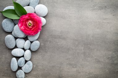 Gri arkaplandaki spa temalı nesnelerin görünümünü kapat.