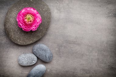 Gri arkaplandaki spa temalı nesnelerin görünümünü kapat.