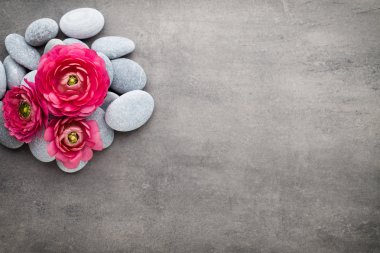 Gri arkaplandaki spa temalı nesnelerin görünümünü kapat.